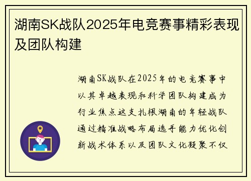 湖南SK战队2025年电竞赛事精彩表现及团队构建